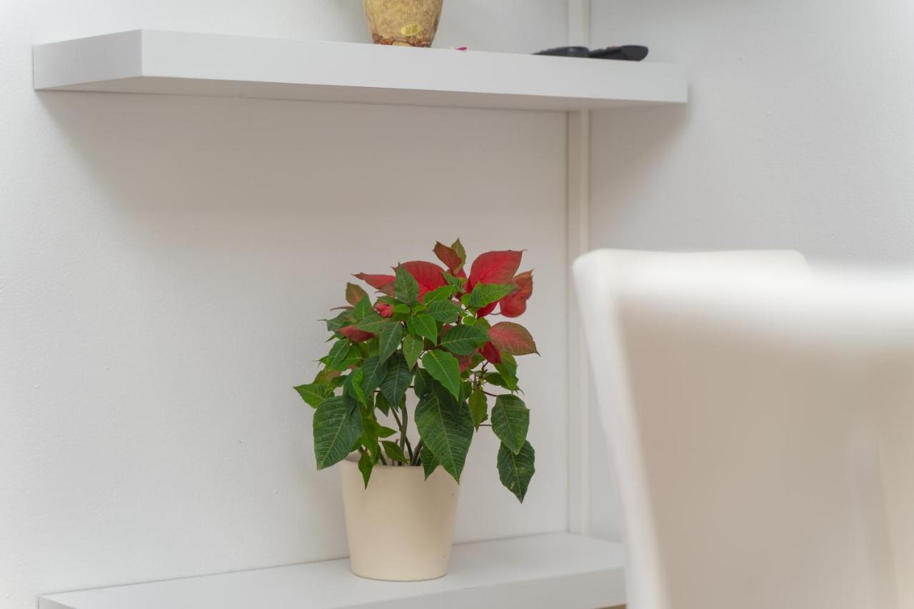 Apartments Divanovic Dubrownik Zewnętrze zdjęcie
